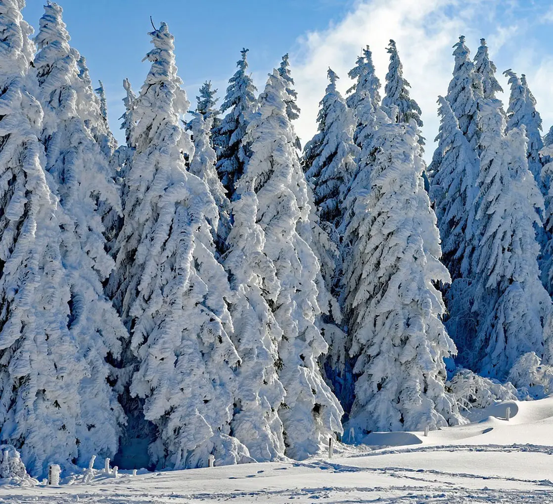 Producten van InShape Hair tussen Scandinavische natuur