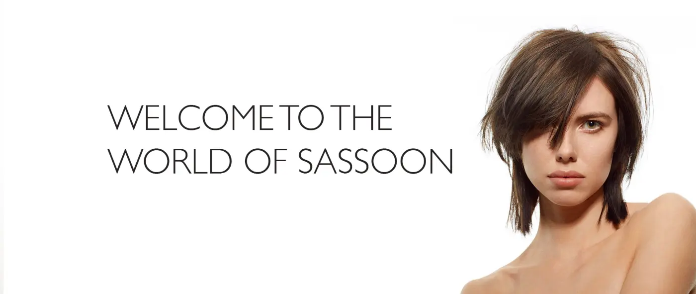 Producten van Sassoon
